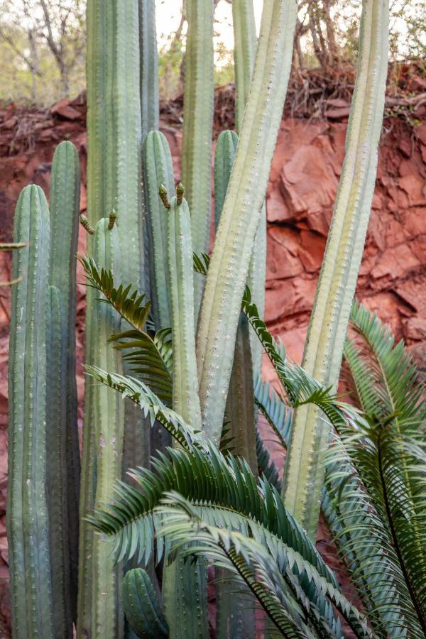 Lejwe La Metsi Private Reserve Bela-Bela Dış mekan fotoğraf